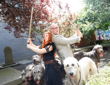 DFOH DC4 pic 1 for website