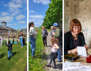 DCCCC website news story 800 x 540 three pillars 3