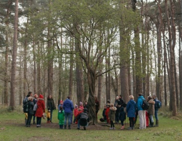Lucy O'Hagan from Wild Awake with a group around the Hawthorn 'Guardian tree' in the Furry Glen, Phoenix Park. Credit: Bríd O'Donovan