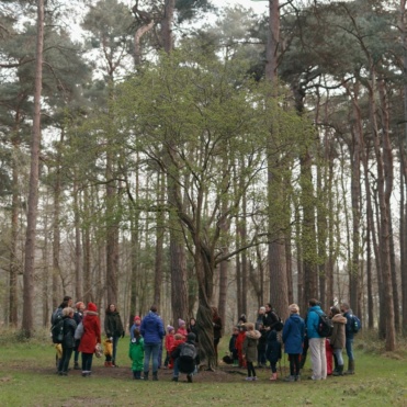 Lucy O'Hagan from Wild Awake with a group around the Hawthorn 'Guardian tree' in the Furry Glen, Phoenix Park. Credit: Bríd O'Donovan