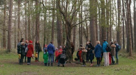 Lucy O'Hagan from Wild Awake with a group around the Hawthorn 'Guardian tree' in the Furry Glen, Phoenix Park. Credit: Bríd O'Donovan