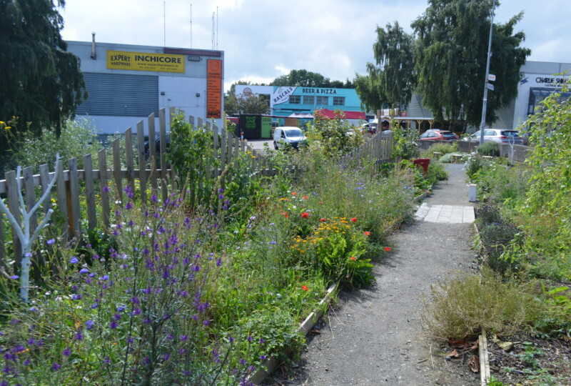 The Stillgarden garden on reclaimed wasteland.