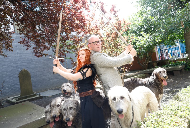 DFOH DC4 pic 1 for website