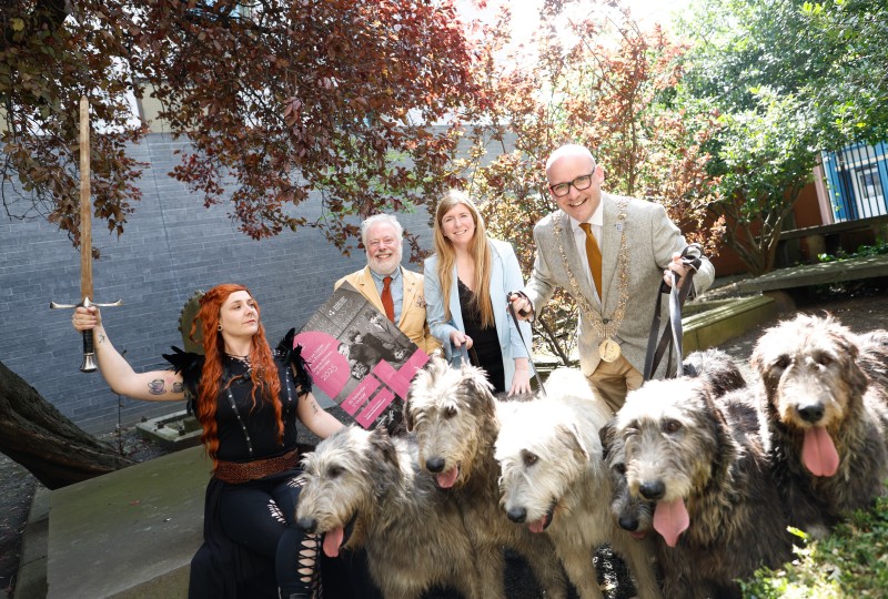 DFOH DC4 pic 2 for website