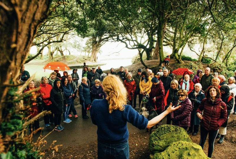 Screenshot St Annes Walkers as part of The National Neighbourhood Photo by Ruth Medjber courtesy of Dublin City Council Culture Company