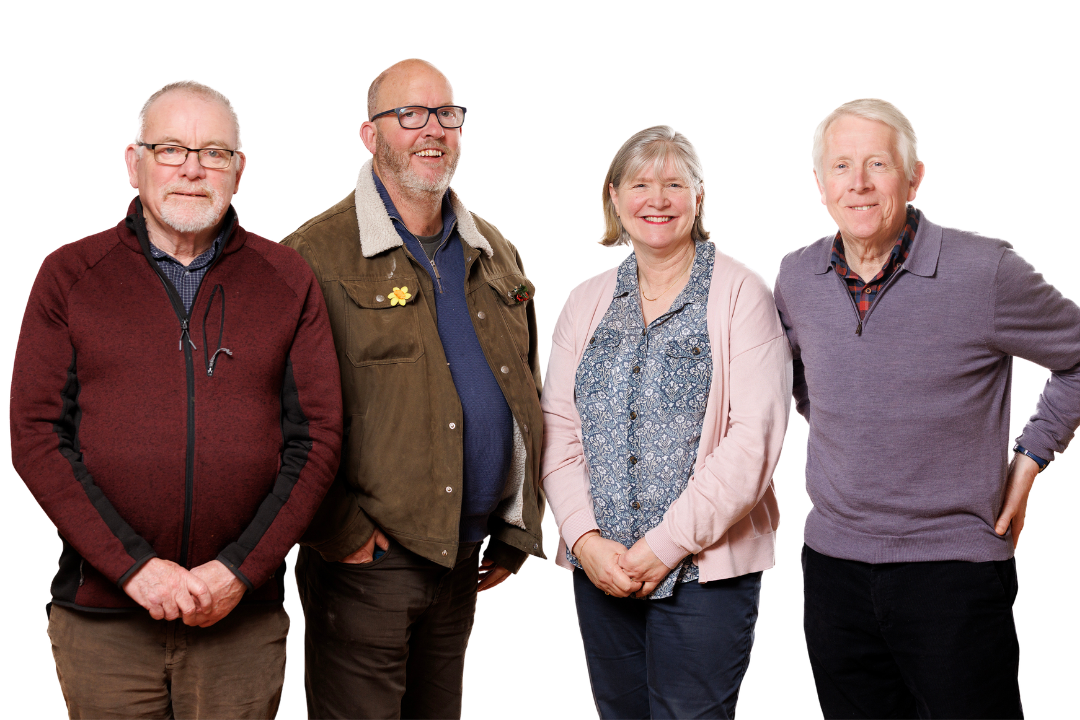 Decorative. Tour Guides Fergus Whelan, Ruairí Keogh, Sheila Robinson, Gus Keating